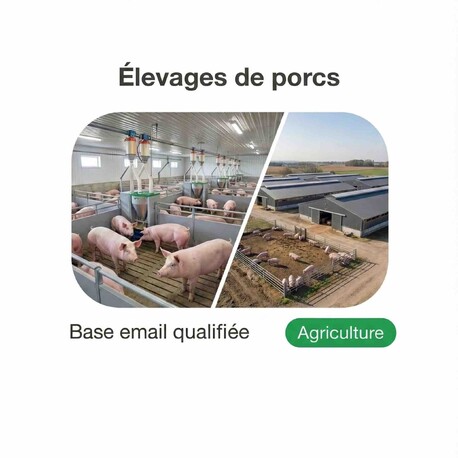 Fichier email Élevages de Porcs - Fichier email Agriculture - Élevage
