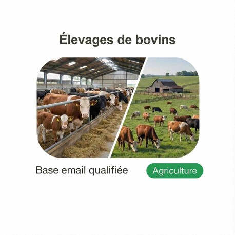 Fichier email Élevages de Bovins - Fichier email Agriculture - Élevage