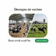 Fichier email Élevages de Vaches - Fichier email Agriculture - Élevage