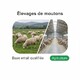 Fichier email Elevages Moutons et Chèvres - Fichier email Agriculture - Élevage