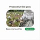 Fichier email Producteurs de Foie Gras - Fichier email Agriculture - Élevage