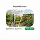 Fichier email des Pépiniéristes - Fichier email Agriculture - Élevage