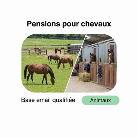 Fichier email des Pensions pour Chevaux - Fichier email Nature - Animaux