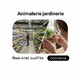 Fichier email Animaleries et Jardineries - Fichier email Commerce de détails