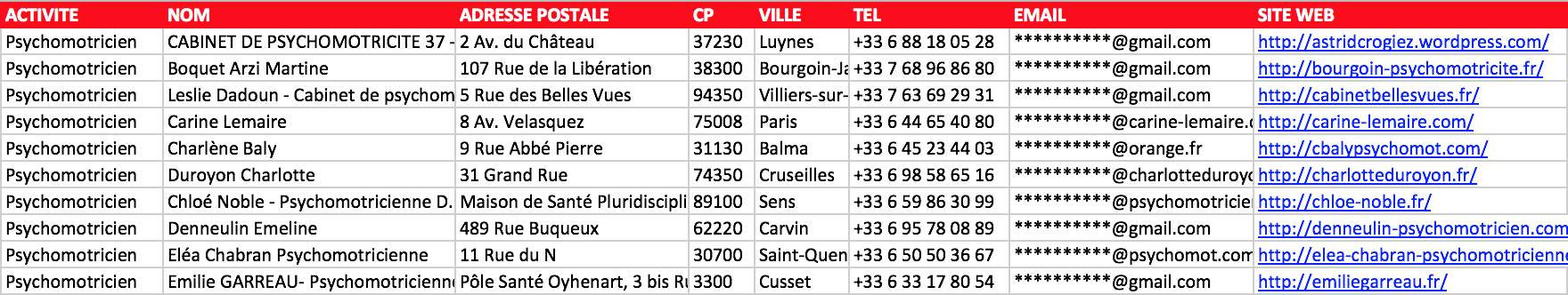 Aperçu du fichier Excel des psychomotriciens