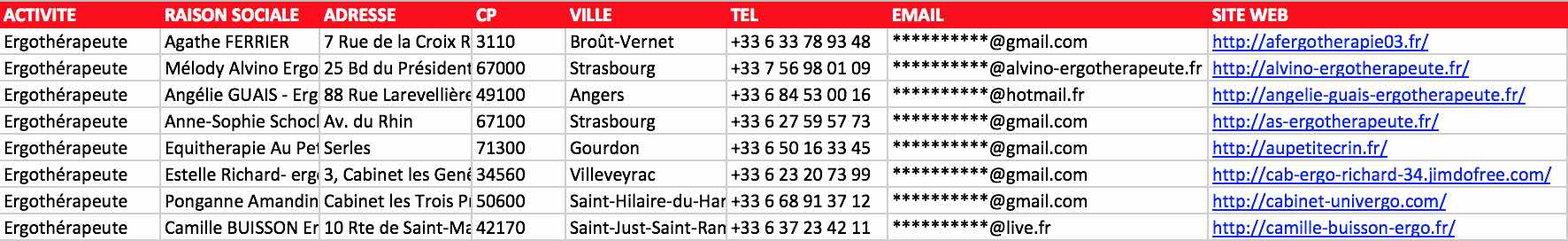 Aperçu du fichier Excel des ergothérapeutes