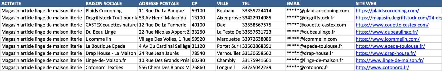 Aperçu du fichier Excel des magasins de linge de maison