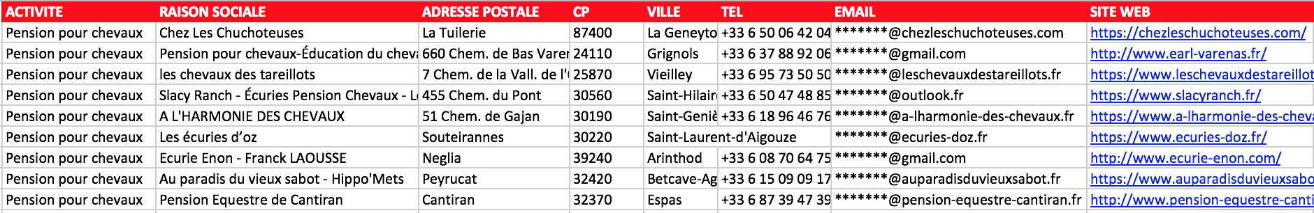 Extrait fichier Excel pensions pour chevaux France NAF 01.43Z pension pré box retraite travail email vérifié gérant responsable