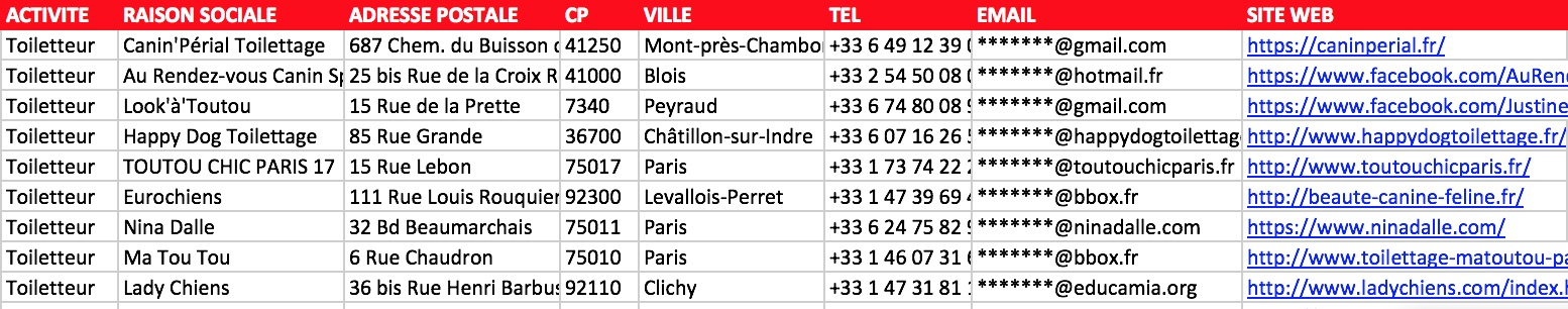 Extrait du fichier emails des toiletteurs chiens et chats en France