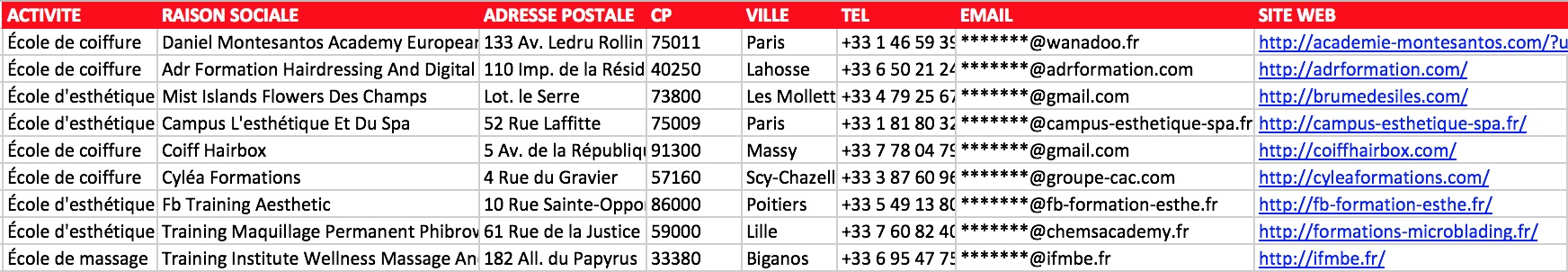 Extrait fichier Excel écoles de coiffure France CFA CAP BP email vérifié directeur formateur
