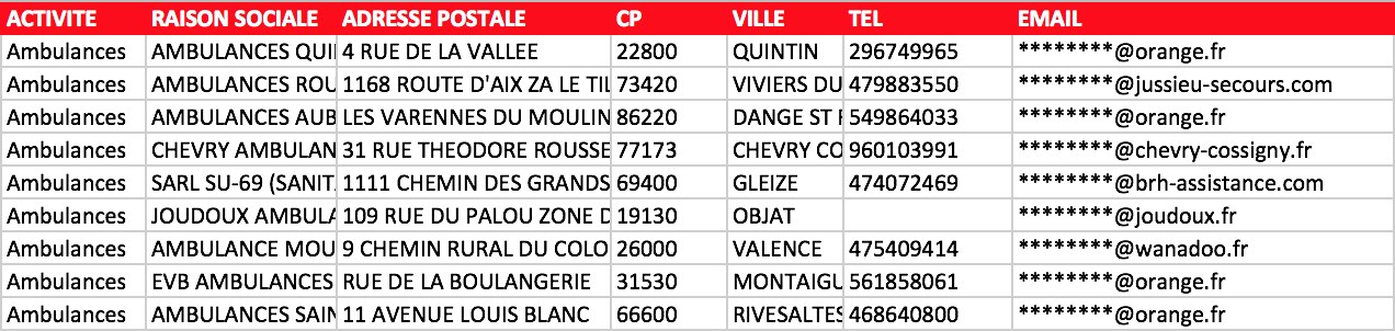 Aperçu du fichier Excel des entreprises d'ambulances