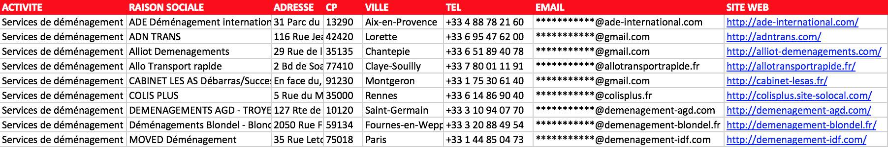 Aperçu du fichier Excel des déménageurs