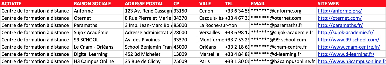 Extrait fichier Excel cours à distance e-learning France OF plateforme LMS email vérifié directeur pédagogique