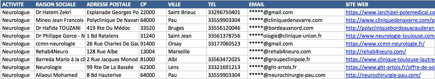 Aperçu du fichier Excel des neurologues