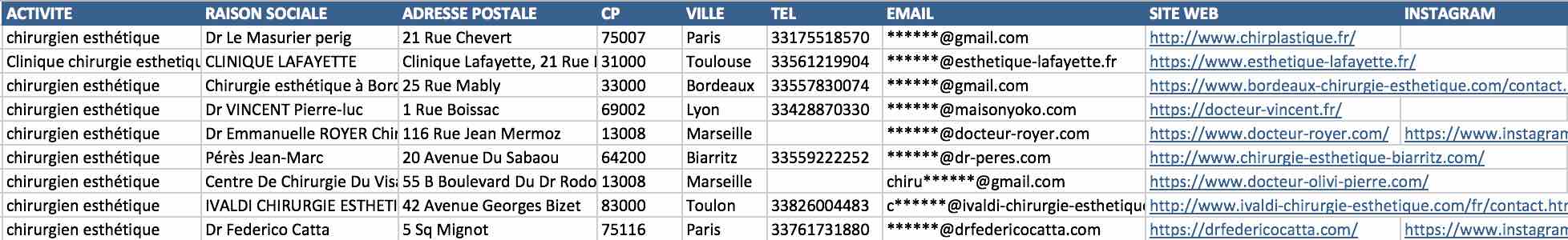 Aperçu du fichier Excel des chirurgiens esthétiques