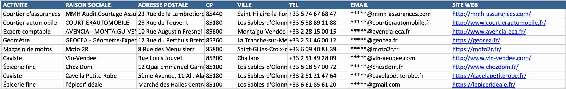 Aperçu du fichier Excel des entreprises de Vendée
